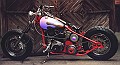Custom 031